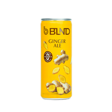 BLND Ginger Ale Mixer - 250ml