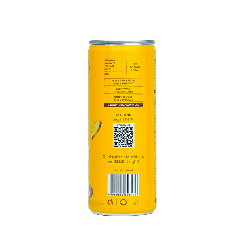 BLND Ginger Ale Mixer - 250ml