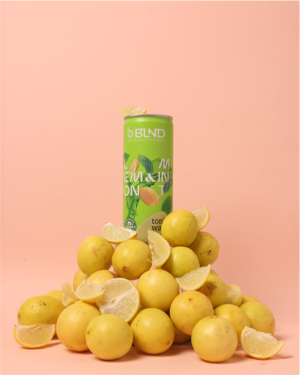 BLND Lemon and Mint <br> Tonic Water - 250ml