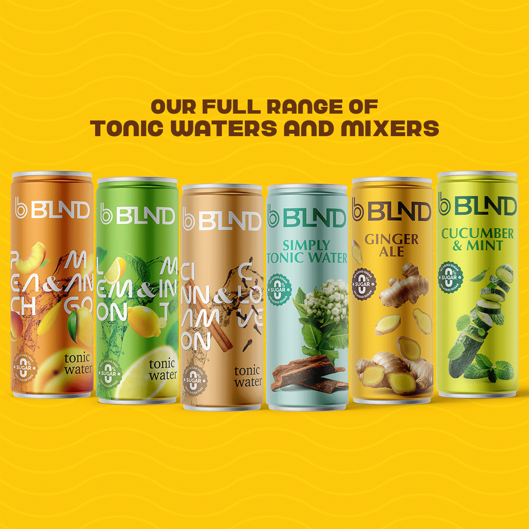 BLND Ginger Ale Mixer - 250ml